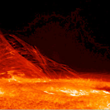  Taken by Hinode's Solar Optical Telescope on Jan. 12, 2007, this image of the sun reveals the filamentary nature of the plasma connecting regions of different magnetic polarity. Hinode captures these very dynamic pictures of the chromosphere. The...