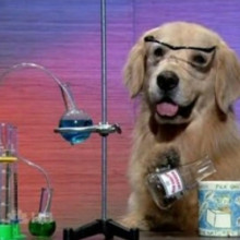 Dog scientist