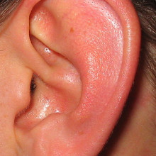 Ear