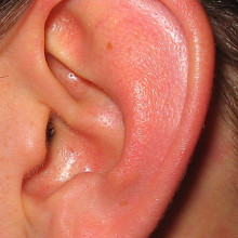 Ear