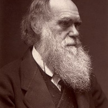 A Woodburytype carte de visite photograph of Charles Darwin, published by John G. Murdoch. A Woodburytype carte de visite photograph of Charles Darwin, published by John G. Murdoch.