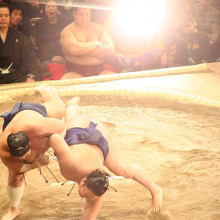 Flash on sumo wrestlers
