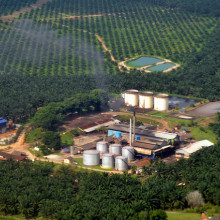 Palm oil mill, Sepang, Malaysia