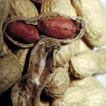 Close up of peanuts