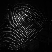 Dark Web