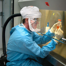  This 2005 photograph of the Centers for Disease Control and Preventions Dr. Terrence Tumpey, one of the organizations staff microbiologists and a member of the National Center for Infectious Diseases (NCID), showed him examining reconstructed 1918...