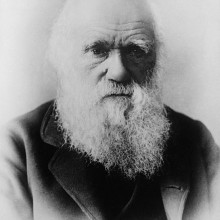 Charles Darwin, from a photograph by Elliott & Fry.
