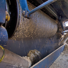 Once at the mill, cane stalks are crushed to extract sucrose, which is then refined to make table sugar, fuel ethanol or other products.