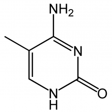 Methylcytosine