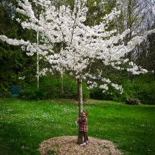 Empathy Tree Hugger