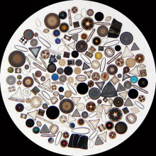 Diatoms