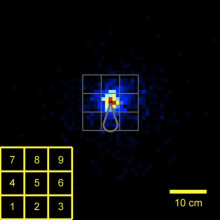 Female mice ultrasonically interact with males during courtship displays