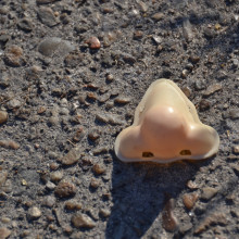 A Nose on The Road