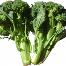 Broccoli