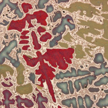 A micrograph of bronze revealing a cast dendritic structure Metallographic polished section of a bronze bell, etched (Terminal III), V = 200:1