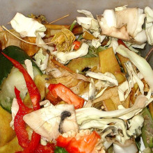 Biodegradable waste in a trashcan.