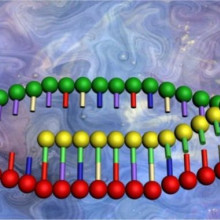 RNA polymerase