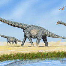Alamosaurus