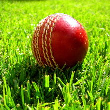 Cricket Ball