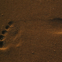 Footprint in sand