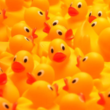 Rubber ducks