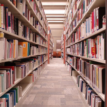 Steacie Science and Engineering Library at York University