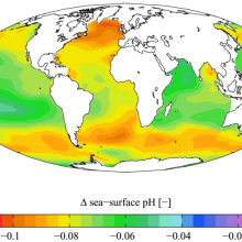 global acidification