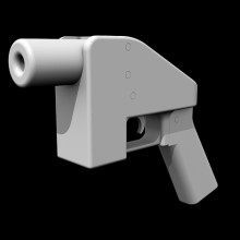 3D printed gun