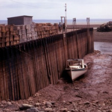 The bay of Fundy at low tide, 1972.