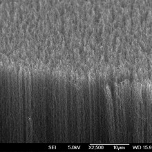 A side-view SEM image of the darkest material at a high magnification. The nanotubes are vertically aligned, forming a highly porous nanostructure.