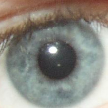 eye iris