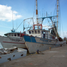 Mexican fishing boats