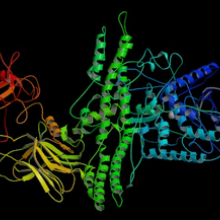 The protein structure of botulinum toxin, the agent produced by Clostridium botulinum, the cause of botulism