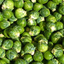 http://en.wikipedia.org/wiki/Image:Brussels_sprout_closeup.jpg...