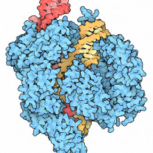 CRISPR