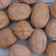 Walnuts