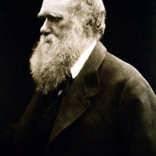 Portrait of Charles Darwin by Julia Margaret Cameron
