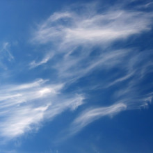High level Cirrus Clouds