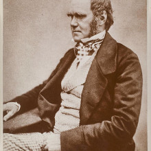 Photograph of Charles Darwin c. 1854