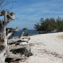 Beach, Desert Island