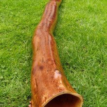 Didgeridoo