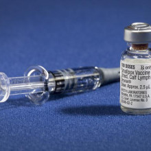  The smallpox vaccine diluent in a syringe along side a vial of Dryvax® dried smallpox vaccine. Vaccinia (smallpox) vaccine, derived from calf lymph, and currently licensed in the United States, is a lyophilized, live-virus preparation of infectious...
