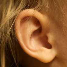 Ear by Travis Isaacs