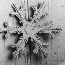 Figure 4. Dendritic snow crystal. The centre of the crystal shows its early hexagonal shape