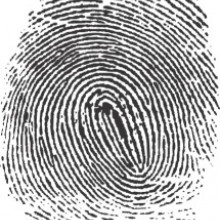 Fingerprint