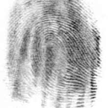 A fingerprint on paper