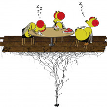 The size and nutritional content of meals influences how sleepy a fly feels afterwards.