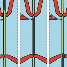 Neurones in C. elegans worms are sensitive to food availability in the environment and in turn alter gene expression encoding serotonin and TGF-beta.