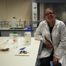 Sarah Hall in her lab Sarah Hall in her lab where she tests Hair samples