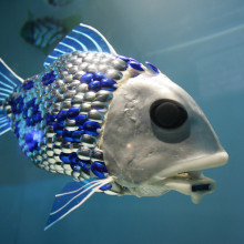Robotic Fish Robotic Fish
